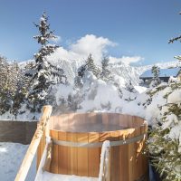 Northern Lights Hot Tubs