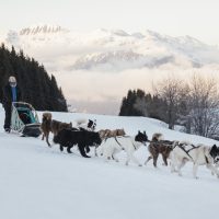 Northern Lights Hot Tubs