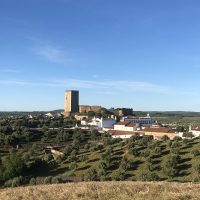 Northern Lights Hot Tubs
