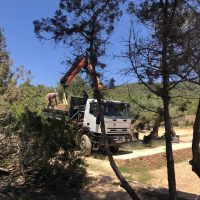 Northern Lights Hot Tubs